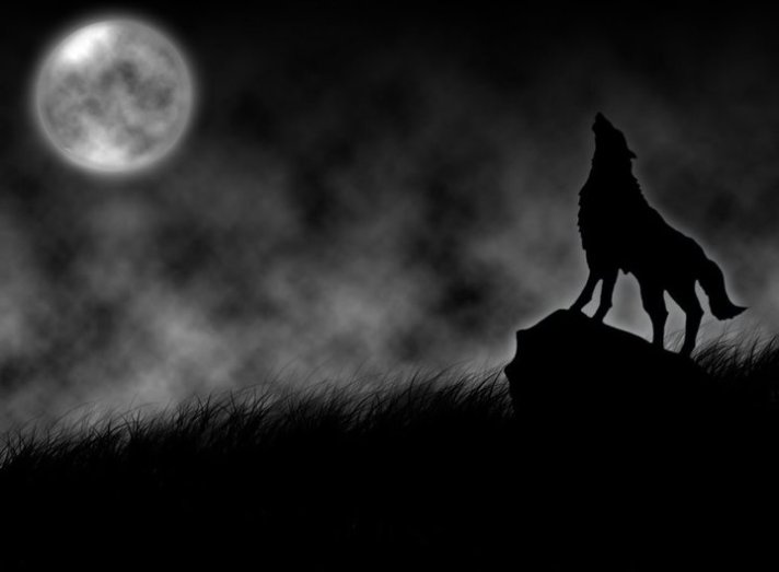 163280_150921941624912_2998447_n