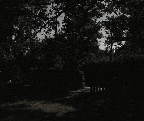 167141_161766170540489_8030280_n