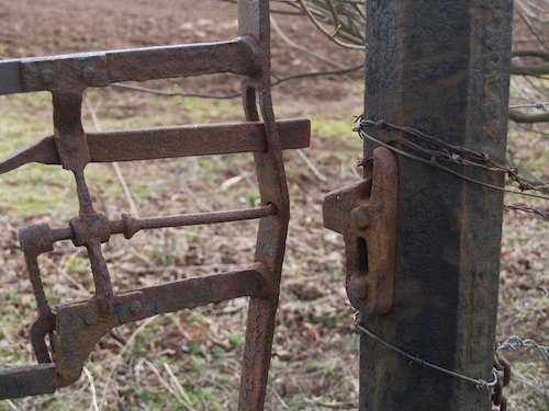 291911_434639419919828_755536327_n