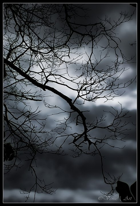 185962_165962660120840_8276959_n