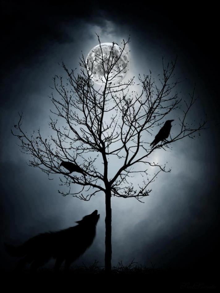 528641_101626410036406_417492056_n