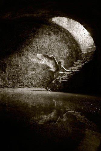 564645_101627130036334_1392573092_n